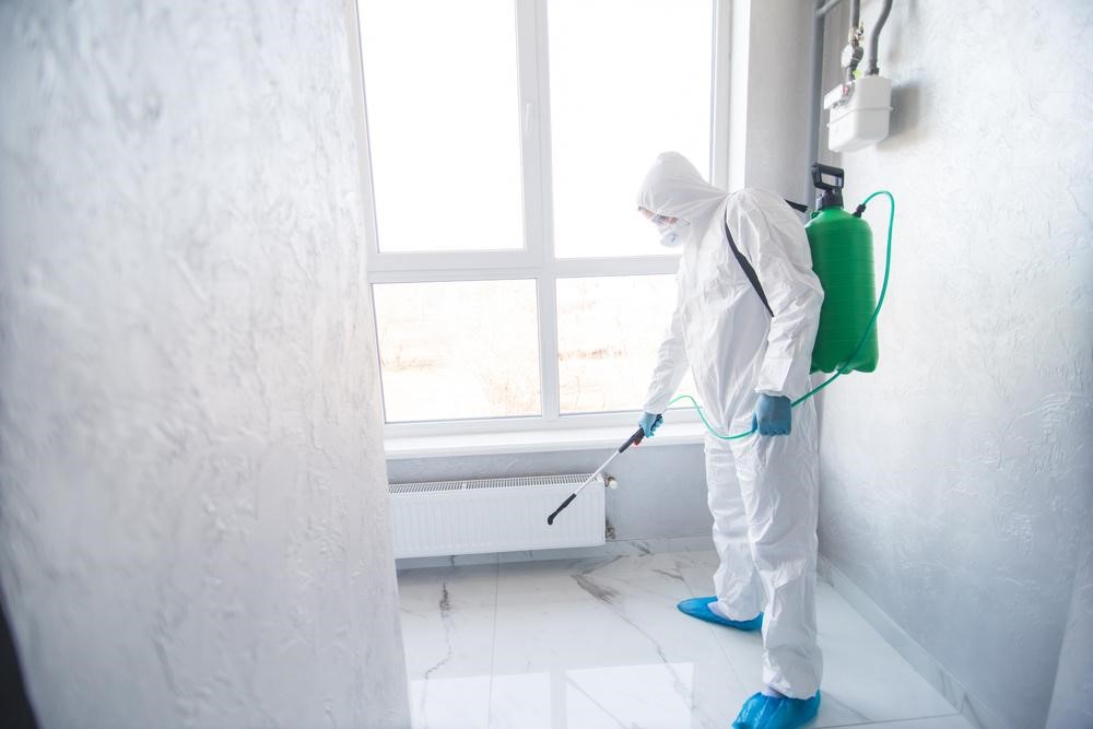 The Most Effective Methods for Mold Removal